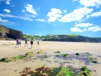 Architect Designed Eco House In A Secluded Littlehaven Private Lane Hotels in The Havens