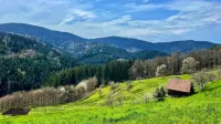 Beautiful, cozy holiday apartment in the heart of the Black Forest