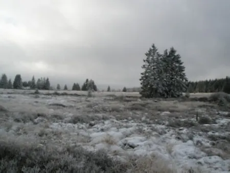 Vacation home - Living in a listed building