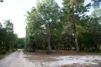 Spring Warrior Pines5 min to the ocean, boat ramp, and the WMA.