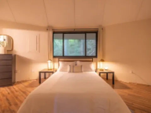 Whimsical Mountain Roundhouse Among the Trees