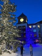 Cozy Ski in/out Solitude Resort