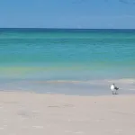 Steps from the beach!