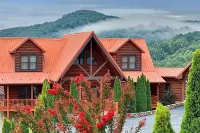 Large Mountaintop Cabin Sleeps 16! Blue Ridge Mountain Views & Wraparound Deck