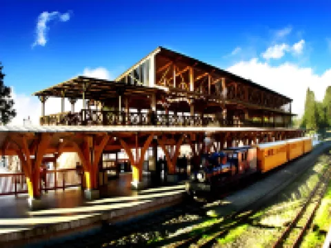 阿里山神木賓館 嘉義縣住宿飯店