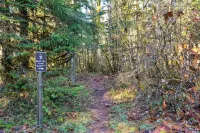 Wild Cascadia Retreat in marvelous Skykomish - 20 min to Stevens Pass