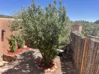 Vingarage Atelier-Views-Privacy-Xtra Pet Acres Available