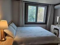 Seogwipo Joeun House Pensio