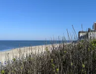 Apartment, Zingst - Huoneistot