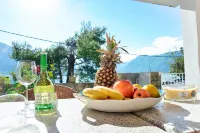 Waterfront Apartment Petrovina - WiFi