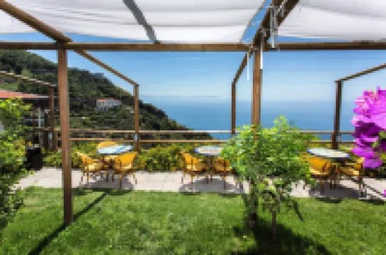 Hotel Holiday's Fico d'India