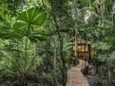 Daintree Wilderness Lodge Hotels in Diwan