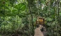 Daintree Wilderness Lodge Hotels in Daintree