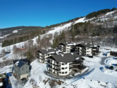 Alpin Apartments Sørlia Hotels in Oyer