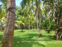 Beso del Viento (Adults Only) Hotels in Parrita