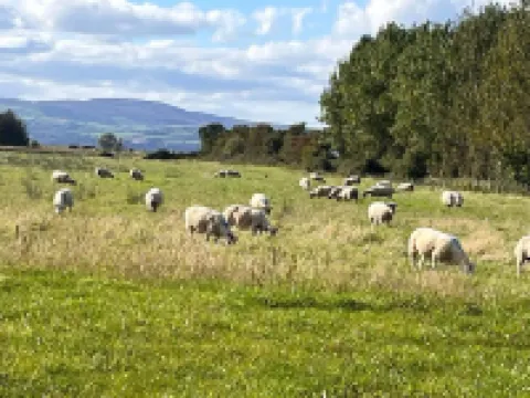 Sunset Cottage - Sleeps 6 - Parking - Garden Hotels in Limavady