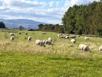 Magilligan - Cottage - Sleeps 6 - Parking - Garden Hotels in Limavady