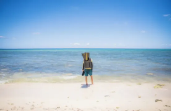 Vida Cayman Luxury Boutique Eco Hotel