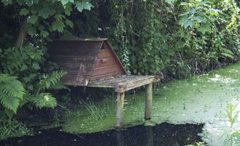 Waunwthan: B&B Suites