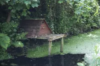 Waunwthan: B&B Suites Hotels in Llangeler