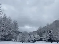 Hemlock Hollow--Secluded wilderness cabin bordering Park