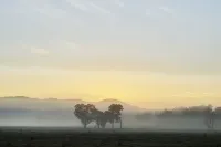 สเตชั่น โมเทล พาร์คส์