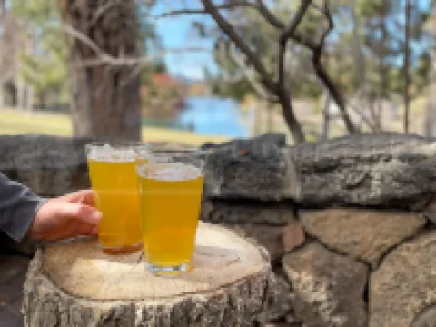 Mountain Views and Stylish Comfort - Alluring Bend Retreat