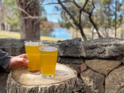 Mountain Views and Stylish Comfort - Alluring Bend Retreat