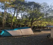 Crossroads Hostel 1957 Hotels in Kaniyambetta