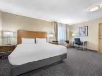 Best Western Plus Surprise-Phoenix NW Hotels in Surprise