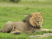 Zimparks Bookings Hotels in Cullinan