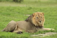 Zimparks Bookings
