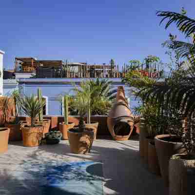Hotel Los Amantes Hotel Exterior