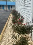 Green Garden Inn Hotels in Greene County