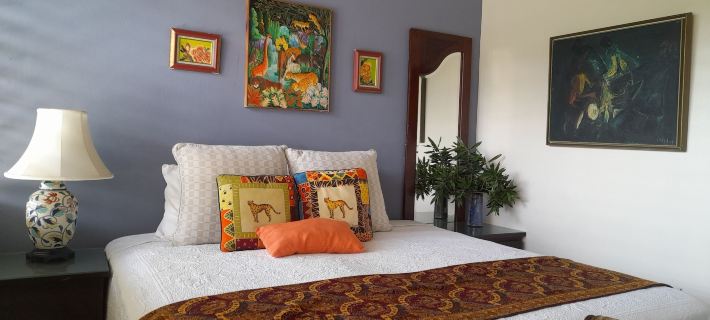 Neita's Nest Hotels in Kingston