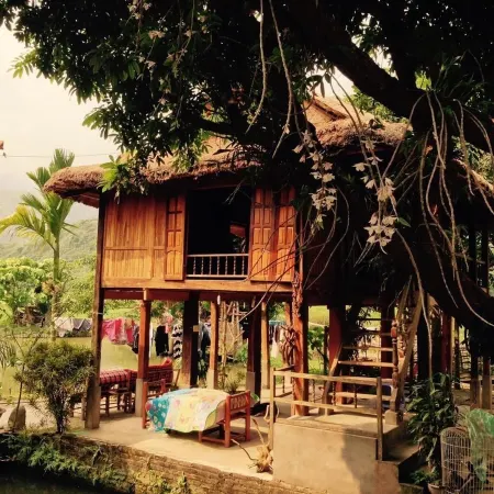 Linh Soi Homestay - Hostel