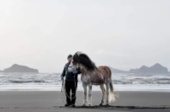 Lindartún Guesthouse Hotels in Rangarthing eystra