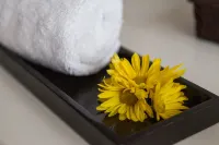巴拿馬城美洲金塔飯店 - SPA