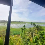 Colombo Water Front Hotels in Dehiwala-Mount Lavinia