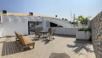 Palmas de Chahue