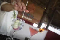 Sensira Resort & Spa Riviera Maya All Inclusive - 5-Star