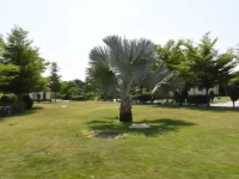 The Desert Den - Little Rann of Kutch Hotels in Surendranagar