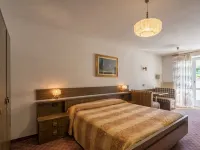 Albergo Panorama فنادق في Ziano di Fiemme