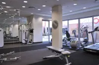 Southern Sun Rosebank, Johannesburg - 피트니스 시설