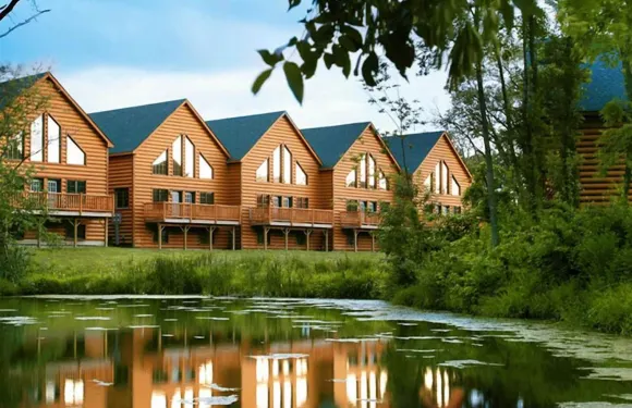 飢餓巖大熊度假村