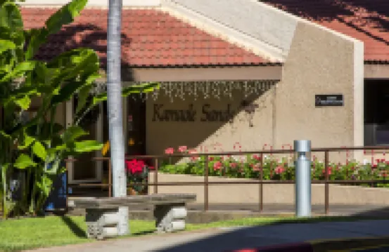 Castle Kama'ole Sands