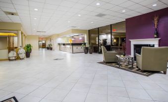 Comfort Inn Conover-Hickory