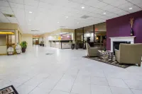 舒適飯店康諾弗-希科裡