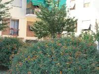 Affittacamere La Perla Hotel in zona La Spezia Migliarina