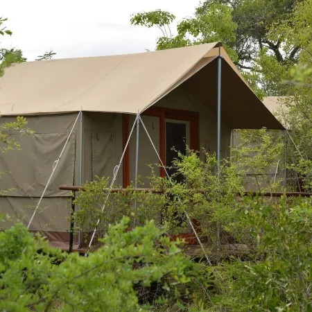 The Wild Olive Tree Camp